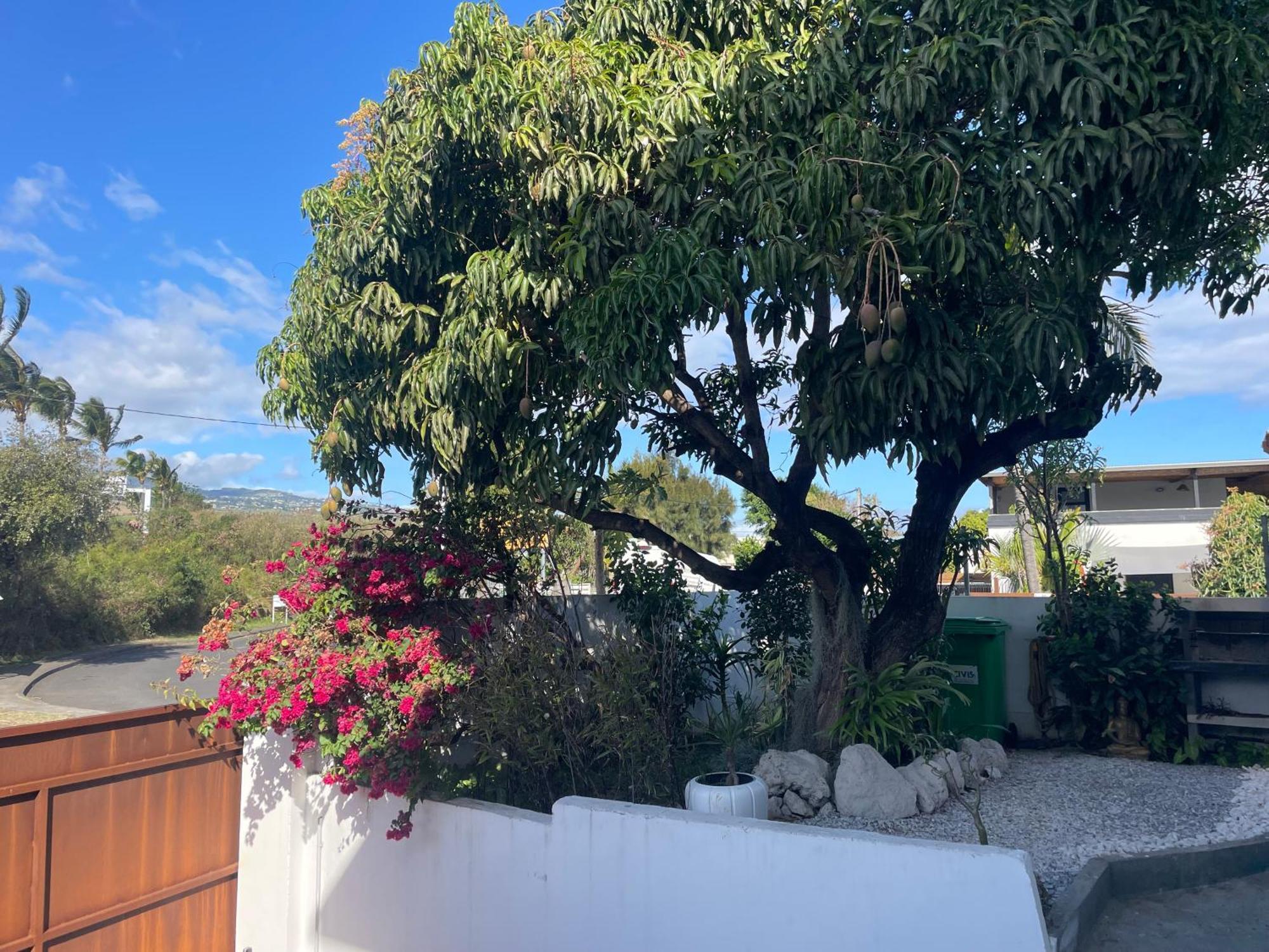 Villa Mya Location Saint Pierre Exterior foto
